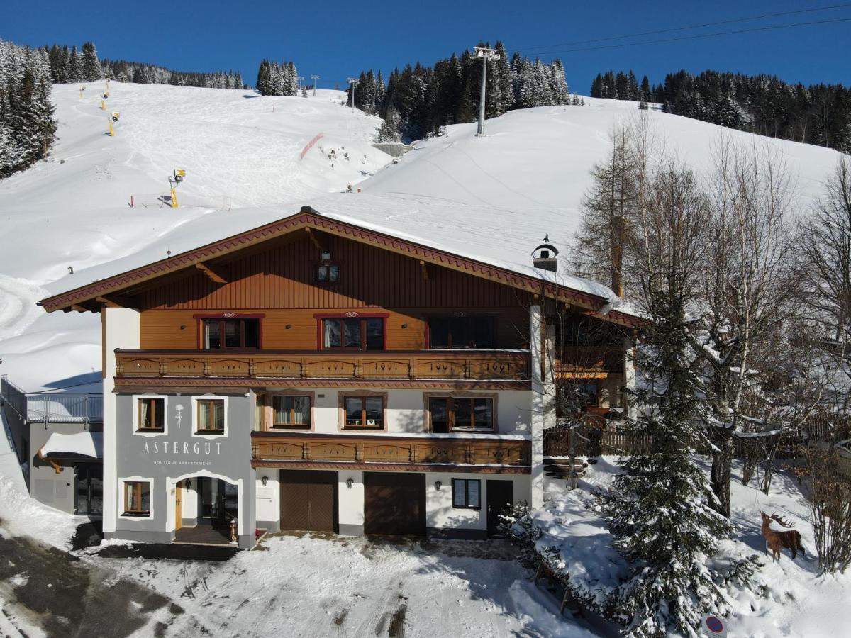 Astergut Boutique Aparthotel Saalbach-Hinterglemm